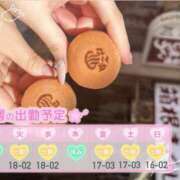 ヒメ日記 2025/04/21 12:00 投稿 めめ ご近所物語