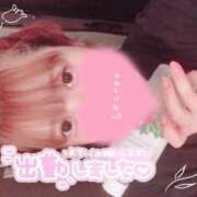 ヒメ日記 2025/04/25 17:00 投稿 めめ ご近所物語