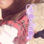 ヒメ日記 2025/04/29 12:04 投稿 めめ ご近所物語