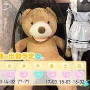 ヒメ日記 2025/05/05 09:00 投稿 めめ ご近所物語