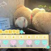 ヒメ日記 2025/05/12 09:00 投稿 めめ ご近所物語