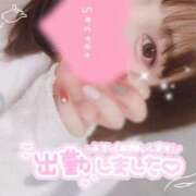 ヒメ日記 2025/05/12 17:00 投稿 めめ ご近所物語