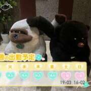 ヒメ日記 2025/05/19 12:00 投稿 めめ ご近所物語