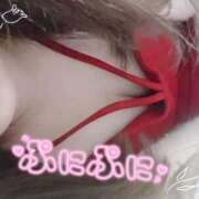 ヒメ日記 2025/05/24 12:00 投稿 めめ ご近所物語