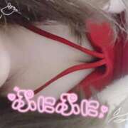 ヒメ日記 2025/05/25 12:00 投稿 めめ ご近所物語