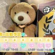 ヒメ日記 2025/05/26 09:00 投稿 めめ ご近所物語