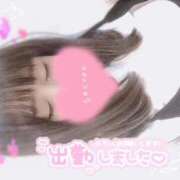 ヒメ日記 2025/05/27 17:00 投稿 めめ ご近所物語