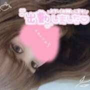 ヒメ日記 2025/05/30 17:00 投稿 めめ ご近所物語