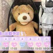 ヒメ日記 2025/06/02 12:00 投稿 めめ ご近所物語