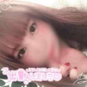 ヒメ日記 2025/06/03 14:00 投稿 めめ ご近所物語