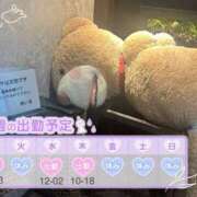 ヒメ日記 2025/06/09 09:00 投稿 めめ ご近所物語