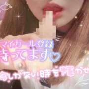 ヒメ日記 2025/06/14 00:00 投稿 めめ ご近所物語