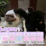 ヒメ日記 2025/06/16 12:00 投稿 めめ ご近所物語