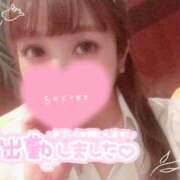 ヒメ日記 2025/06/20 15:00 投稿 めめ ご近所物語