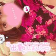 ヒメ日記 2025/06/24 12:00 投稿 めめ ご近所物語