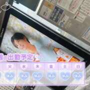 ヒメ日記 2025/06/30 12:00 投稿 めめ ご近所物語