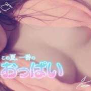 ヒメ日記 2025/07/19 12:00 投稿 めめ ご近所物語