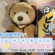 ヒメ日記 2025/07/21 09:00 投稿 めめ ご近所物語