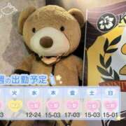 ヒメ日記 2025/07/21 13:02 投稿 めめ ご近所物語