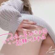 ヒメ日記 2025/07/23 15:00 投稿 めめ ご近所物語