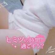 ヒメ日記 2025/07/26 10:00 投稿 めめ ご近所物語