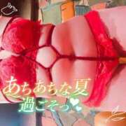 ヒメ日記 2025/08/05 09:00 投稿 めめ ご近所物語