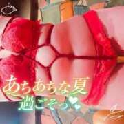 ヒメ日記 2025/08/08 12:00 投稿 めめ ご近所物語