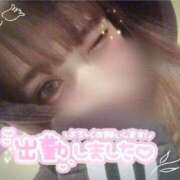 ヒメ日記 2025/08/24 15:00 投稿 めめ ご近所物語