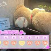 ヒメ日記 2025/09/01 15:00 投稿 めめ ご近所物語