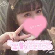 ヒメ日記 2025/09/02 12:01 投稿 めめ ご近所物語