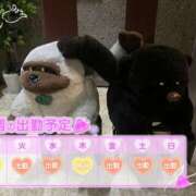 ヒメ日記 2025/09/08 12:04 投稿 めめ ご近所物語