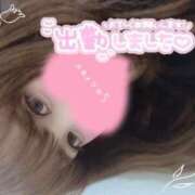 ヒメ日記 2025/09/12 19:00 投稿 めめ ご近所物語