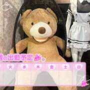 ヒメ日記 2025/09/16 18:00 投稿 めめ ご近所物語