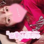 ヒメ日記 2025/09/20 15:01 投稿 めめ ご近所物語