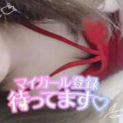 ヒメ日記 2025/10/04 19:01 投稿 めめ ご近所物語