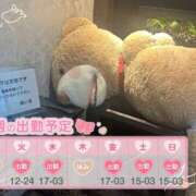 ヒメ日記 2025/10/06 09:01 投稿 めめ ご近所物語