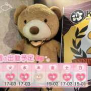 ヒメ日記 2025/10/20 12:02 投稿 めめ ご近所物語