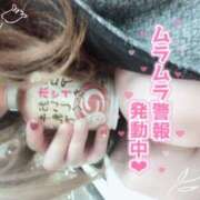 ヒメ日記 2025/10/22 12:02 投稿 めめ ご近所物語