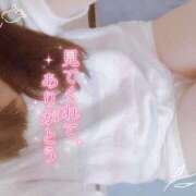 ヒメ日記 2025/10/28 17:00 投稿 めめ ご近所物語