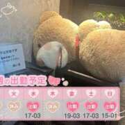 ヒメ日記 2025/11/12 09:01 投稿 めめ ご近所物語