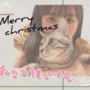 ヒメ日記 2025/11/20 10:00 投稿 めめ ご近所物語