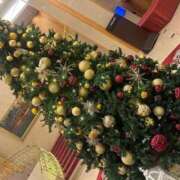 ヒメ日記 2025/11/23 10:13 投稿 めめ ご近所物語