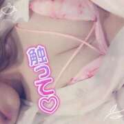 ヒメ日記 2025/12/02 10:02 投稿 めめ ご近所物語