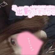 ヒメ日記 2025/12/02 15:00 投稿 めめ ご近所物語