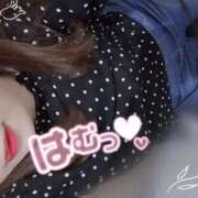 ヒメ日記 2025/12/03 10:00 投稿 めめ ご近所物語