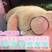 ヒメ日記 2025/12/29 12:00 投稿 めめ ご近所物語