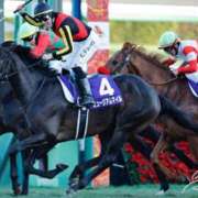 ヒメ日記 2026/01/01 05:00 投稿 めめ ご近所物語