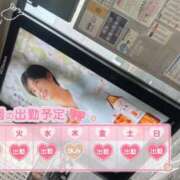 ヒメ日記 2026/02/02 12:00 投稿 めめ ご近所物語