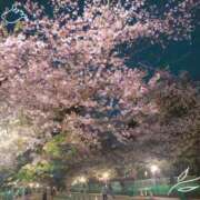 ヒメ日記 2026/04/01 19:30 投稿 めめ【優艶】 ご近所物語