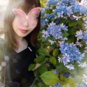 ヒメ日記 2025/07/05 20:55 投稿 しほの ご近所物語